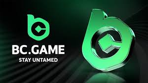 BCStavka Casino Review Your Ultimate Gaming Destination