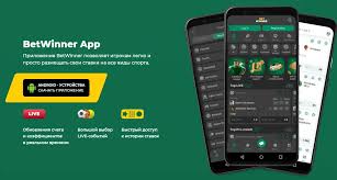 BetWinner Mobile App Experience Betting On The Go