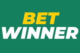 Comprehensive Review of BetWinner Sportsbook Your Go-To for Sports Betting