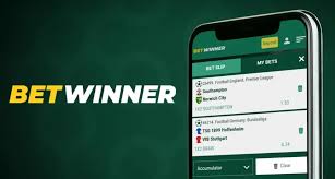 Discover the Thrill of BetWinner Casino